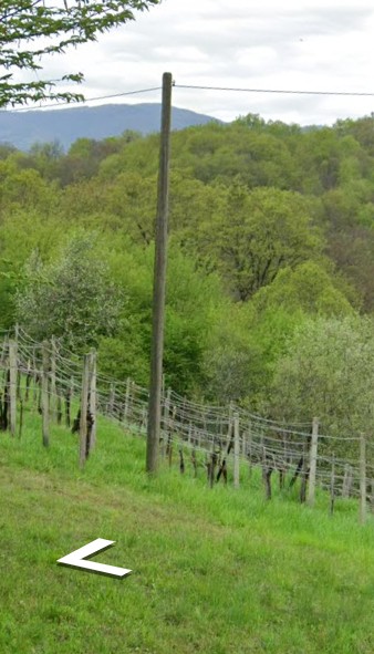 Landmark image